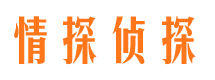 夷陵侦探公司